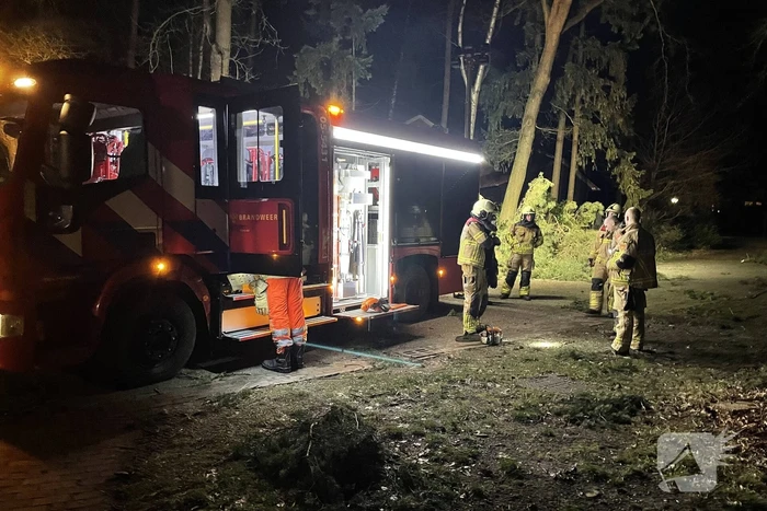 Brandweer verwijdert boom over de weg