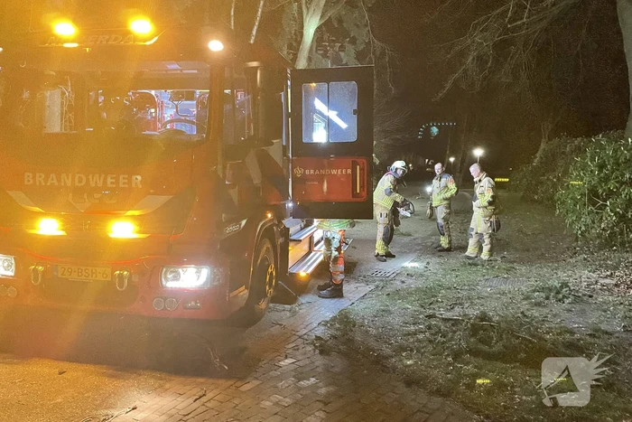 Brandweer verwijdert boom over de weg