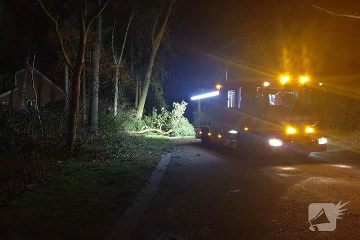 Brandweer verwijdert boom over de weg