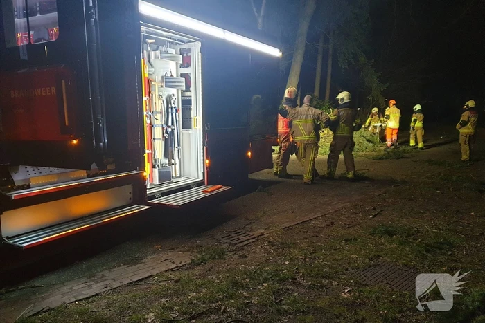 Brandweer verwijdert boom over de weg