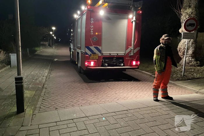 Brandweer stelt boom veilig
