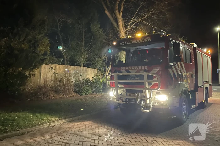 Brandweer stelt boom veilig