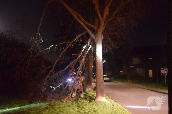 Grote tak dreigt op weg te vallen