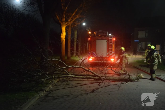 Grote tak dreigt op weg te vallen