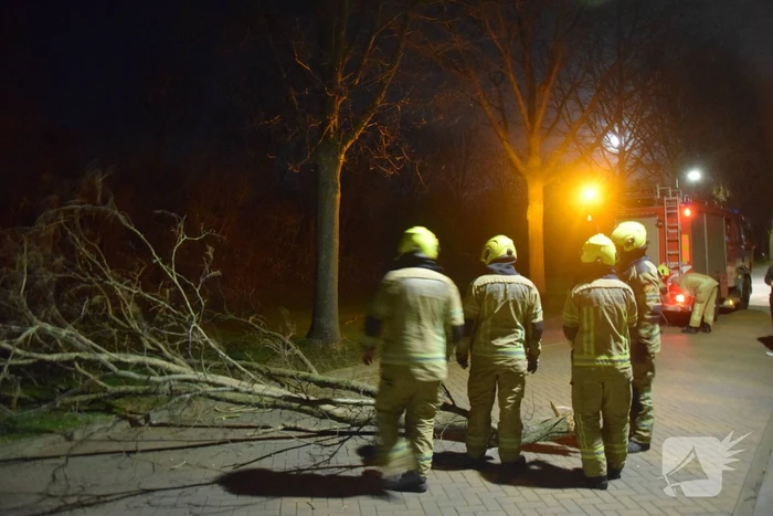 Grote tak dreigt op weg te vallen
