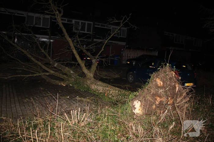 Omgevallen boom in stukken gezaagd door brandweer