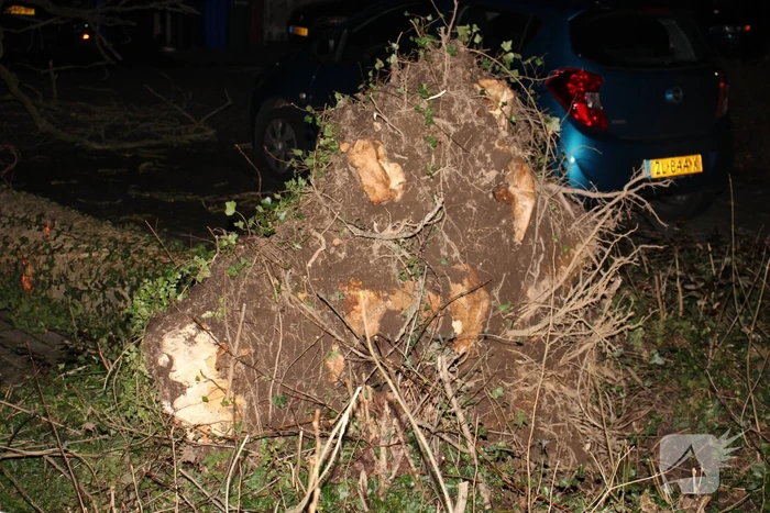 Omgevallen boom in stukken gezaagd door brandweer