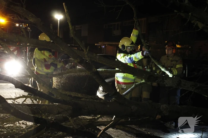 Omgevallen boom in stukken gezaagd door brandweer