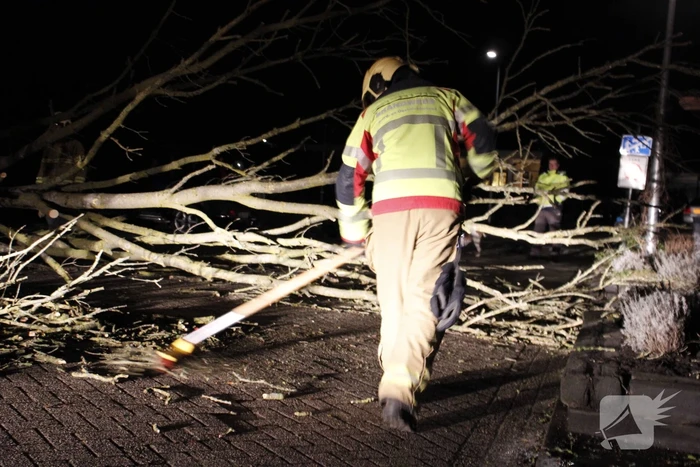 Omgevallen boom in stukken gezaagd door brandweer