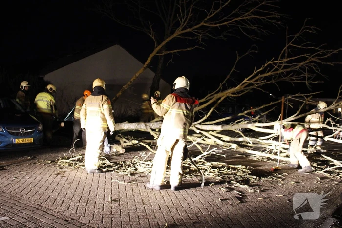 Omgevallen boom in stukken gezaagd door brandweer