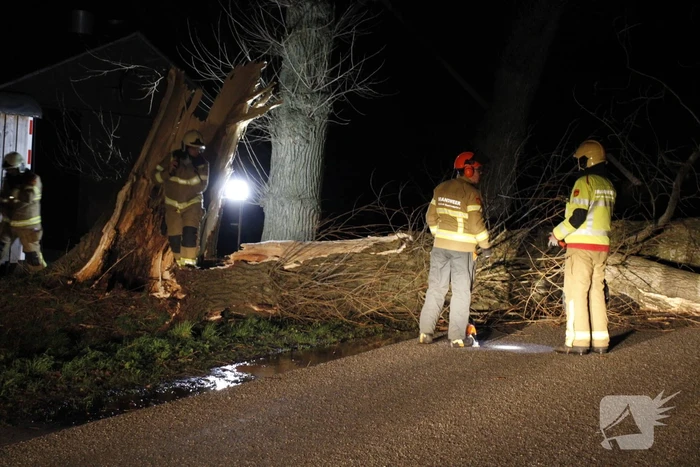 Brandweer zaagt grote boom in stukken