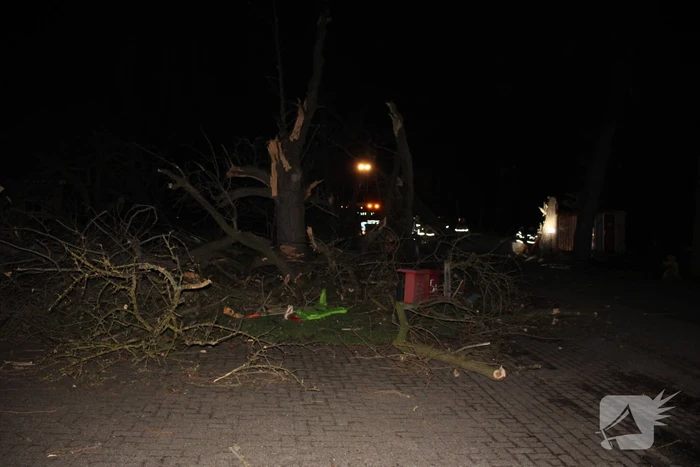 Brandweer zaagt grote boom in stukken