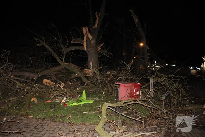 Brandweer zaagt grote boom in stukken