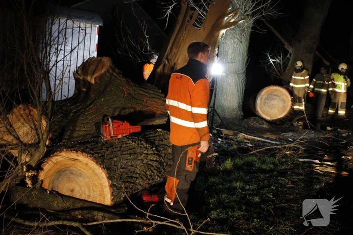 Brandweer zaagt grote boom in stukken