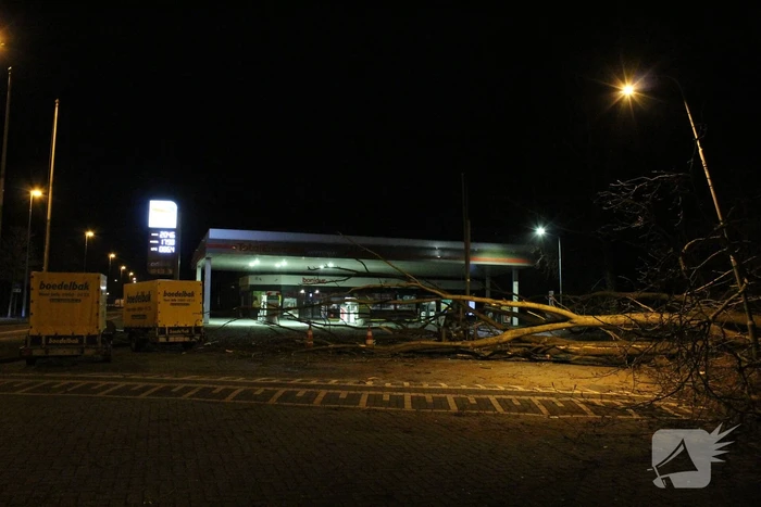 Boom blokkeert tankstation