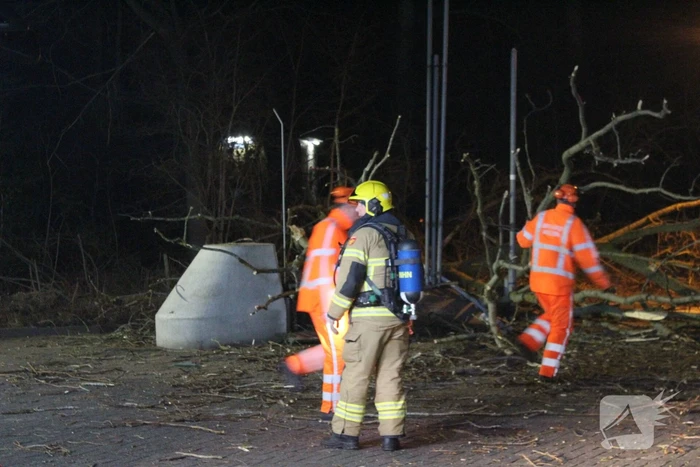 Boom blokkeert tankstation