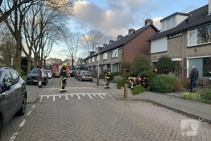 natuur mozartlaan waddinxveen