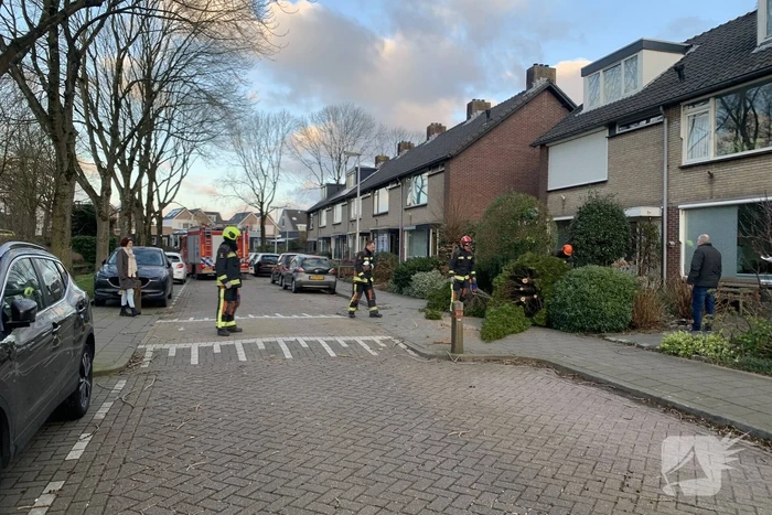 Brandweer zaagt boom om