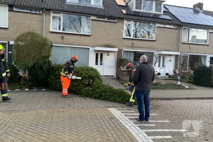 Brandweer zaagt boom om