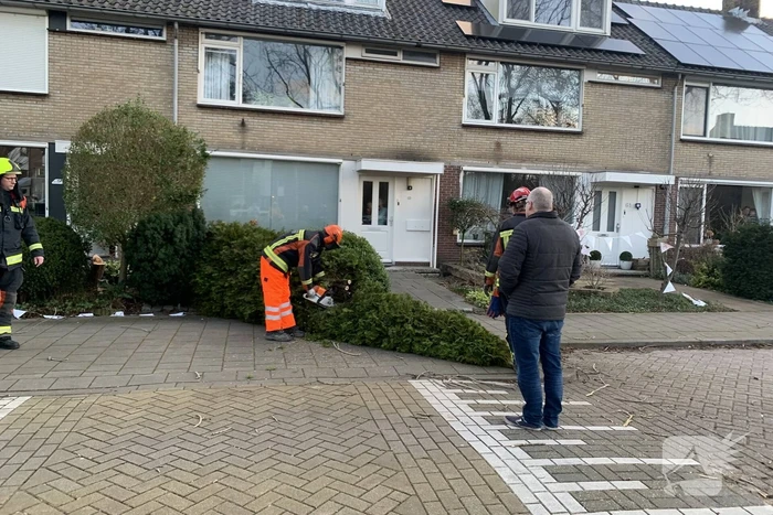 Brandweer zaagt boom om