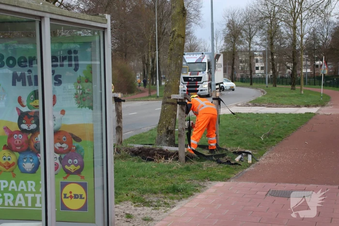 Boom na storm Eunice omgezaagd door brandweer