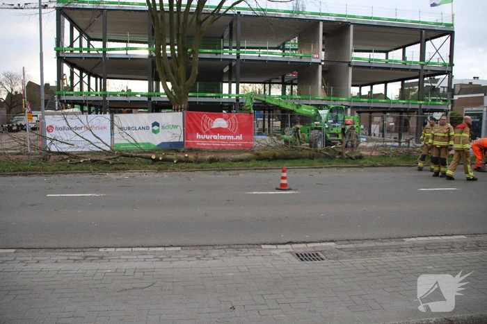 Boom na storm Eunice omgezaagd door brandweer