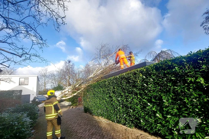 natuur laan van moerkerken mijnsheerenland