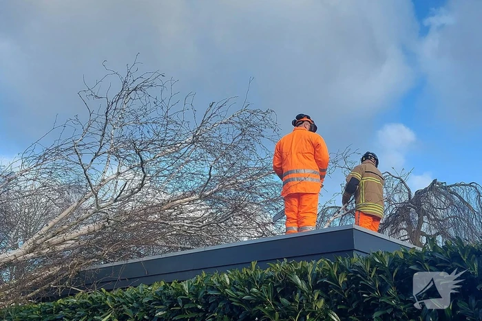 Omgewaaide boom verspert doorgang