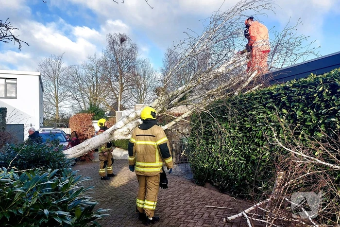 Omgewaaide boom verspert doorgang