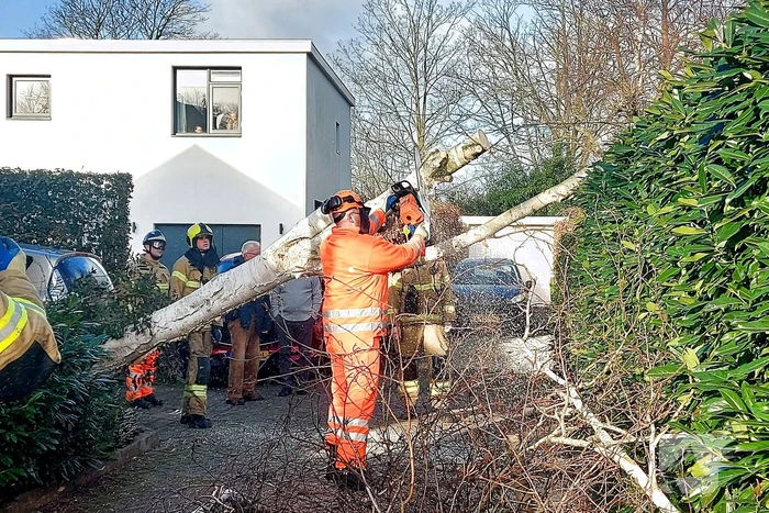 Omgewaaide boom verspert doorgang