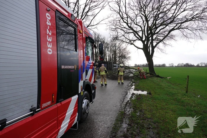 natuur hoogenweg hoogenweg