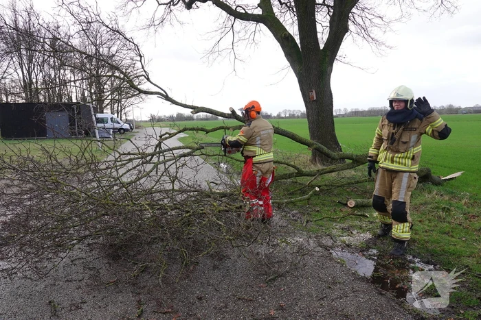 Afgebroken tak verspert de weg