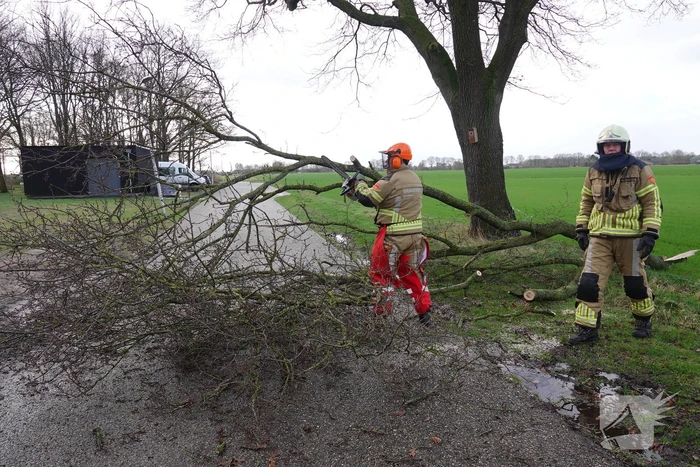 Afgebroken tak verspert de weg