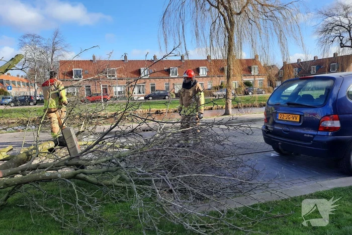 natuur willem van saendenstraat krommenie