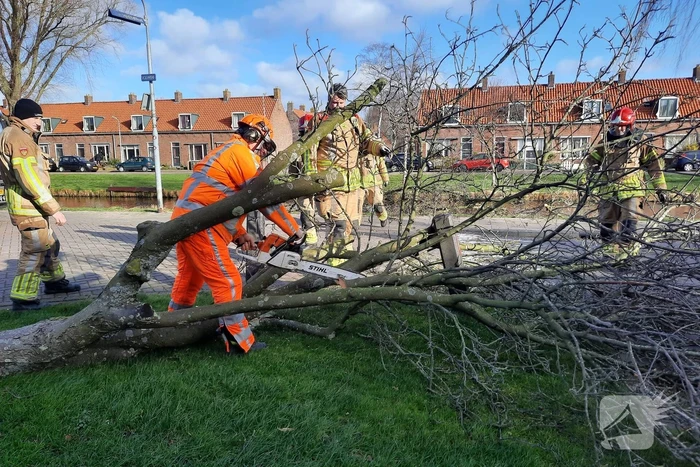 Weg verspert door een omgewaaide boom