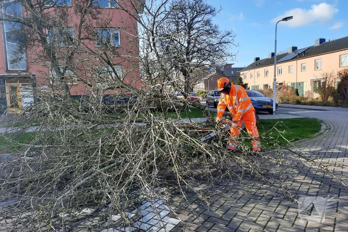 Weg verspert door een omgewaaide boom