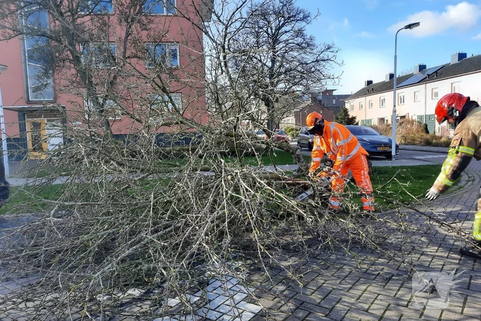 Weg verspert door een omgewaaide boom