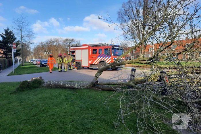 Weg verspert door een omgewaaide boom