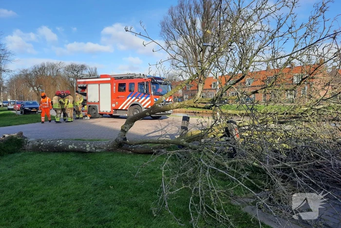 Weg verspert door een omgewaaide boom