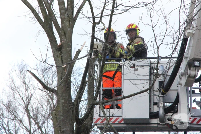 Brandweer en gemeente stellen door storm beschadigde bomen veilig