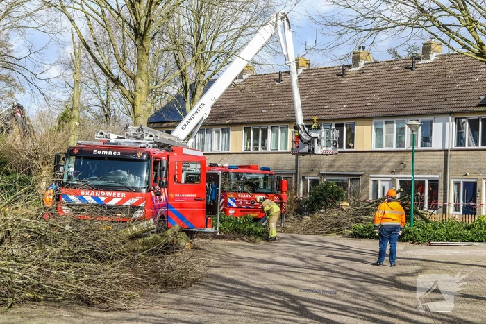 Brandweer en gemeente stellen door storm beschadigde bomen veilig