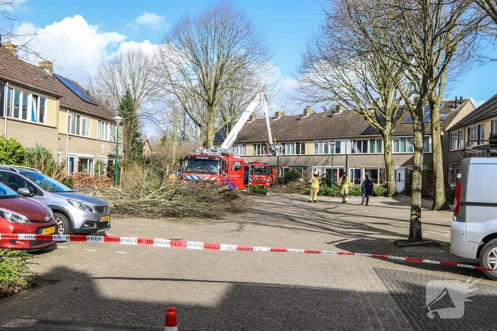Brandweer en gemeente stellen door storm beschadigde bomen veilig