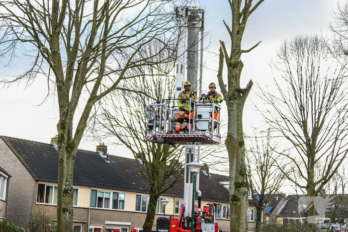 Brandweer en gemeente stellen door storm beschadigde bomen veilig