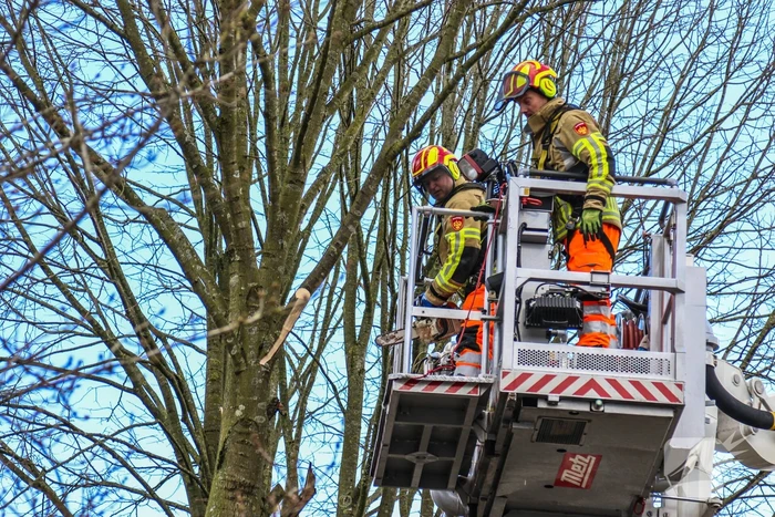 Brandweer en gemeente stellen door storm beschadigde bomen veilig