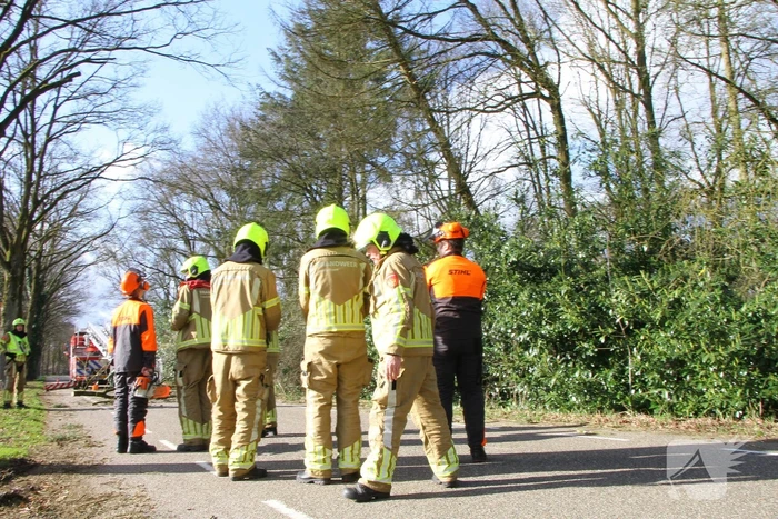 Boom dreigt op weg te vallen