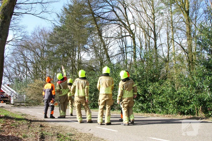 natuur diesterbaan weert