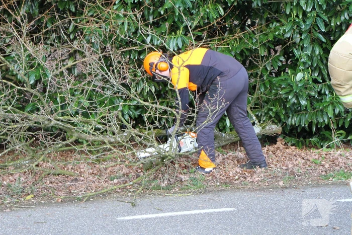 Boom dreigt op weg te vallen