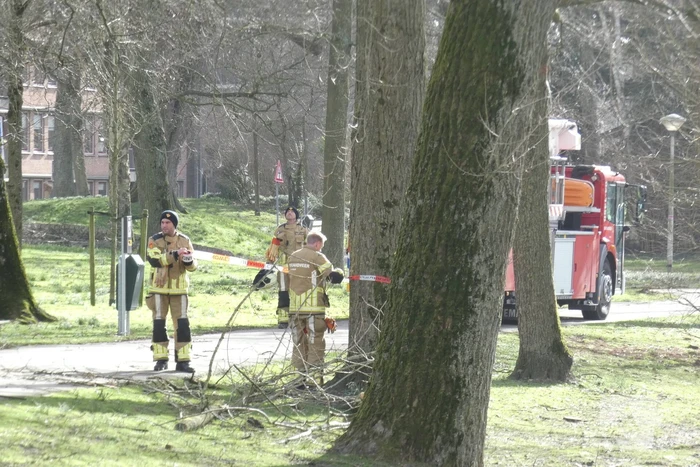 Brandweer zet gebied af vanwege gevaarlijk hangende tak