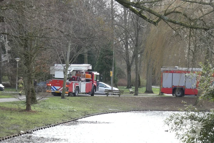 Brandweer zet gebied af vanwege gevaarlijk hangende tak