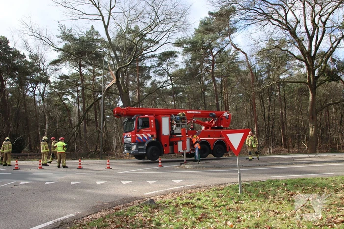 natuur leuvenumseweg harderwijk